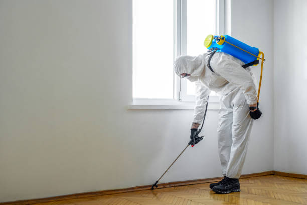 Best Pest Inspection Near Me  in Leavenworth, WA
