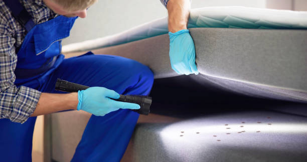 Trusted Leavenworth, WA Pest Control Experts