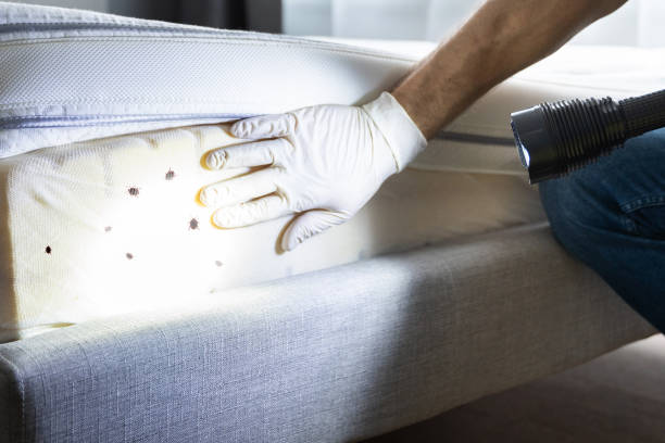 Best Best Pest Control Near Me  in Leavenworth, WA