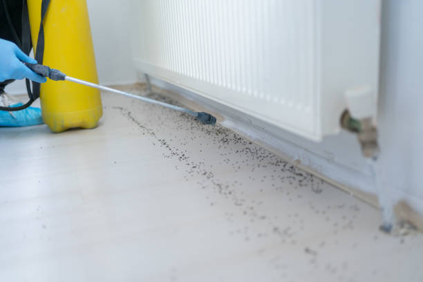 Best Pest Control for Homes  in Leavenworth, WA
