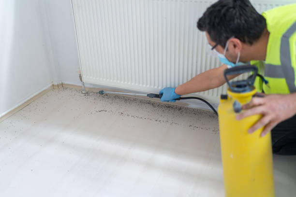 Best Emergency Pest Control  in Leavenworth, WA